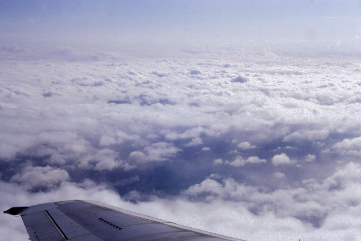 El ala de un avión.