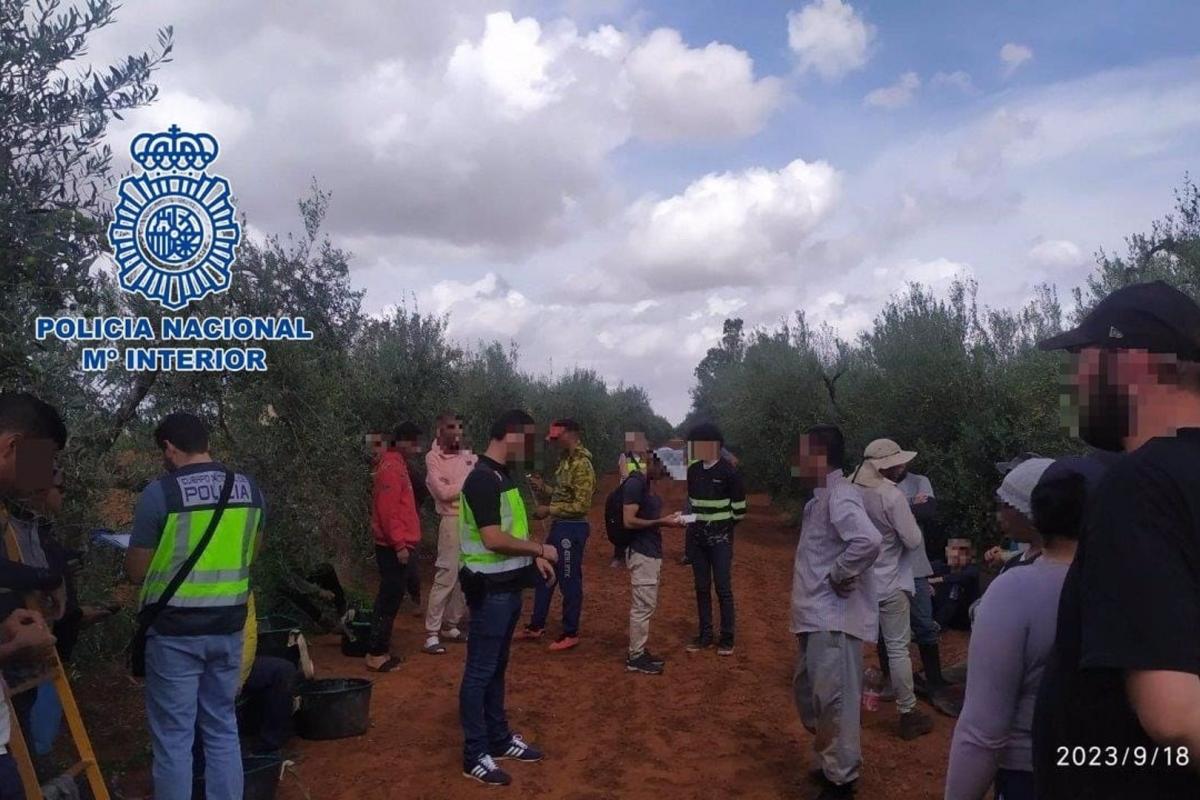 Dos detenidos en Sevilla por explotar a 40 migrantes con jornadas de doce horas y diez minutos para comer.