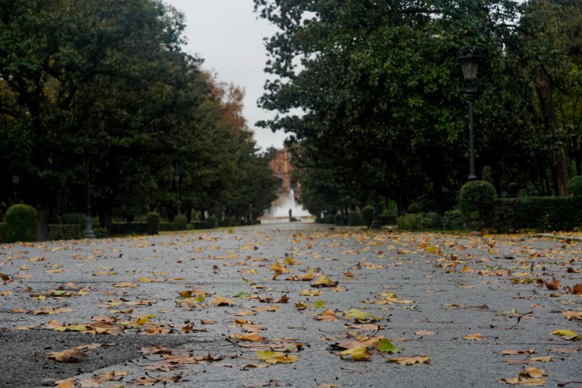 Un parque en Sevilla.