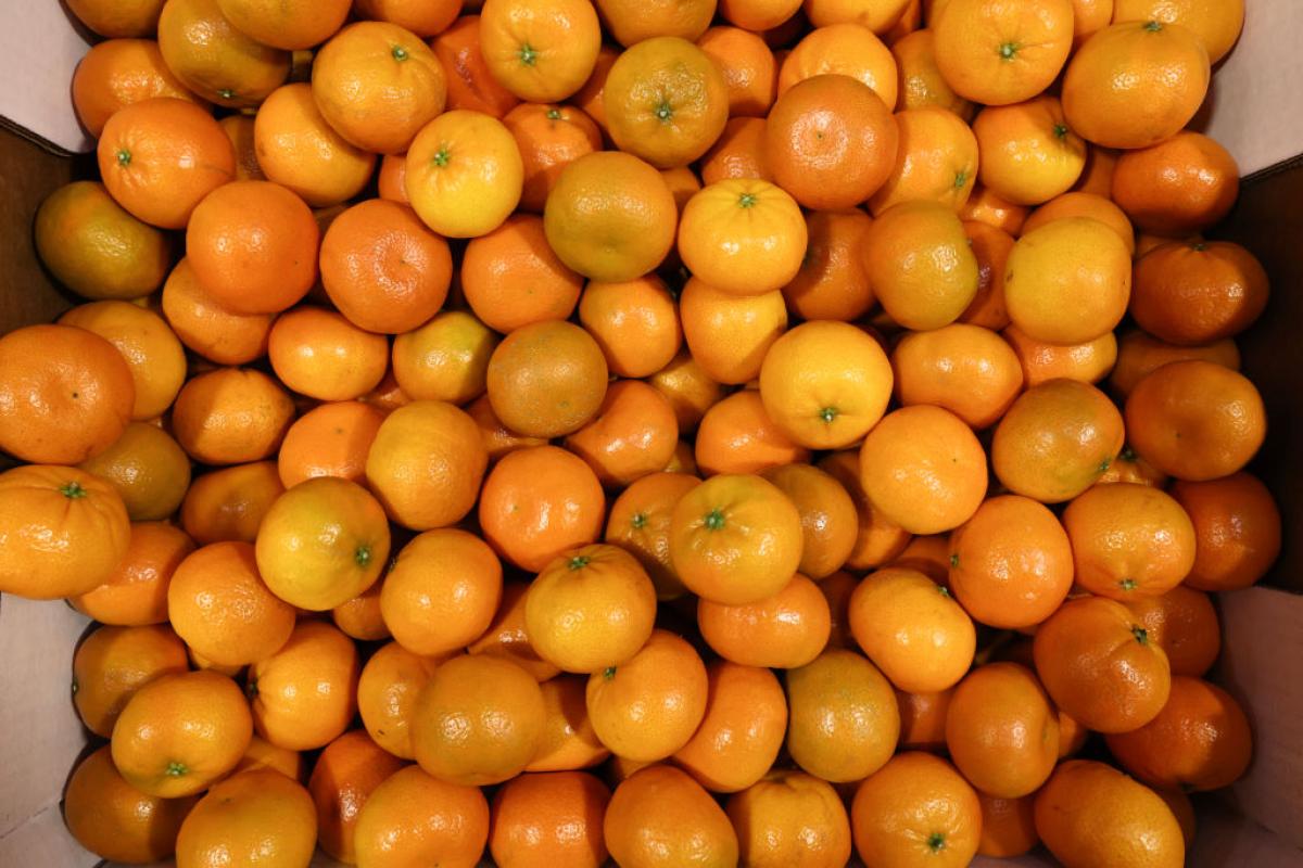 Cientos de clementinas apiladas.