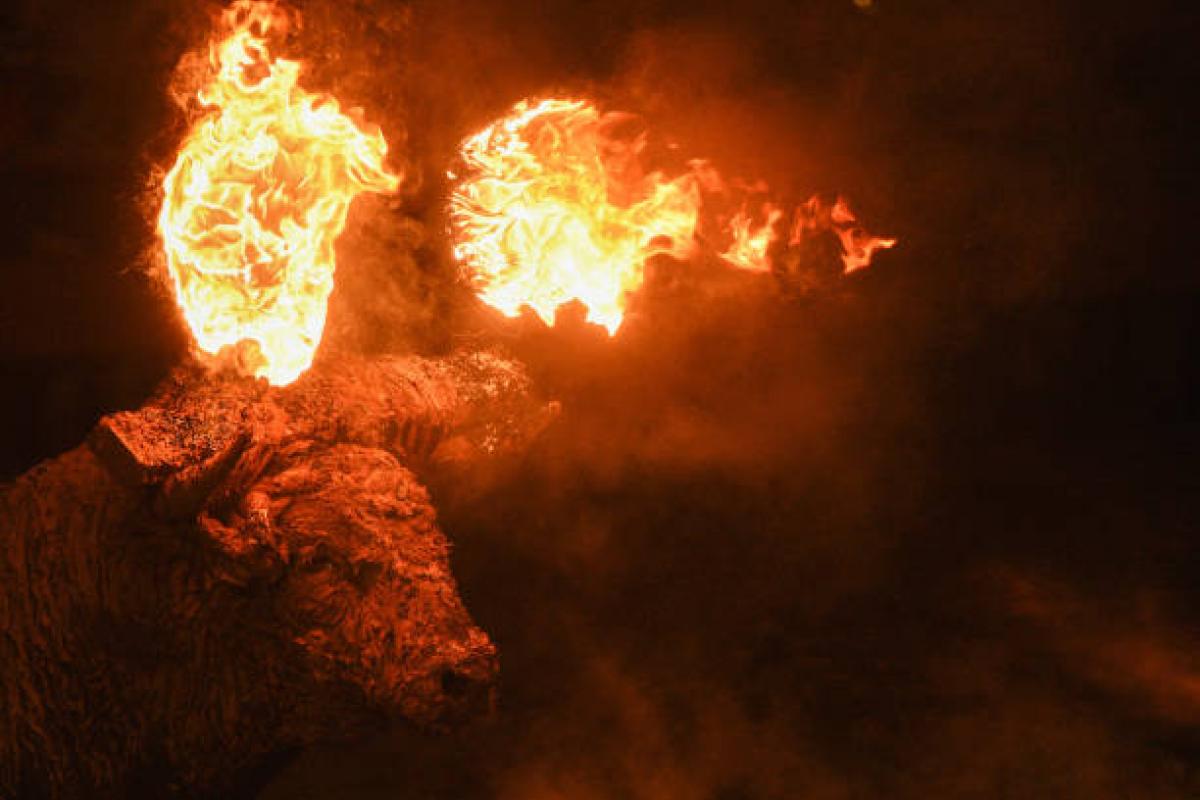 Un toro con fuego en los cuernos.