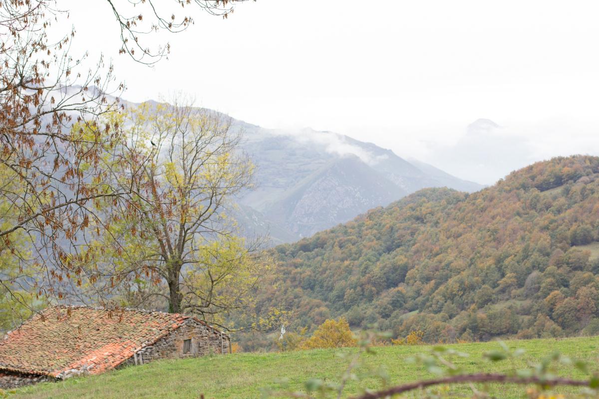 Imagen del monte asturiano