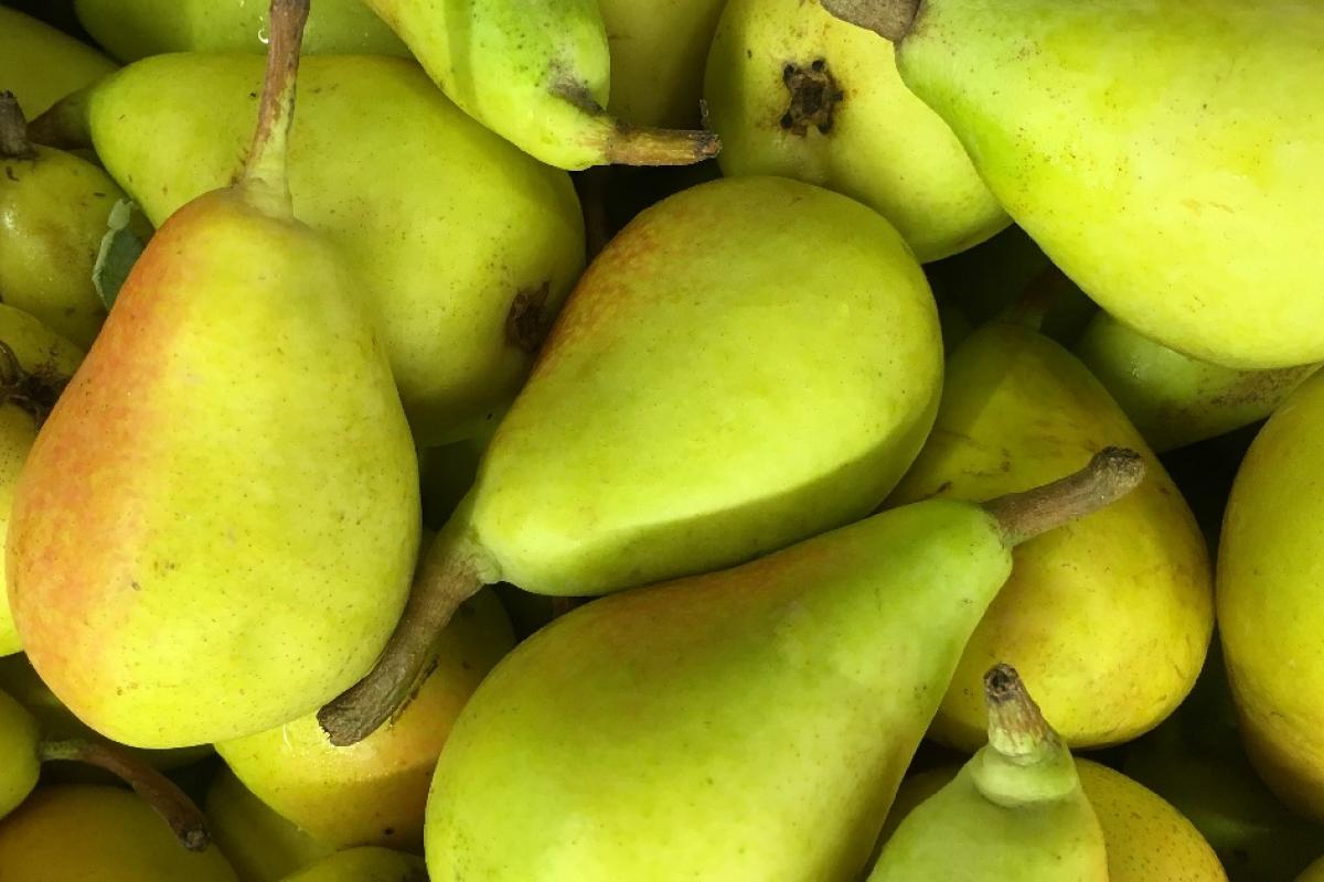 Día Mundial de la Pera hoy 4 de diciembre de 2023