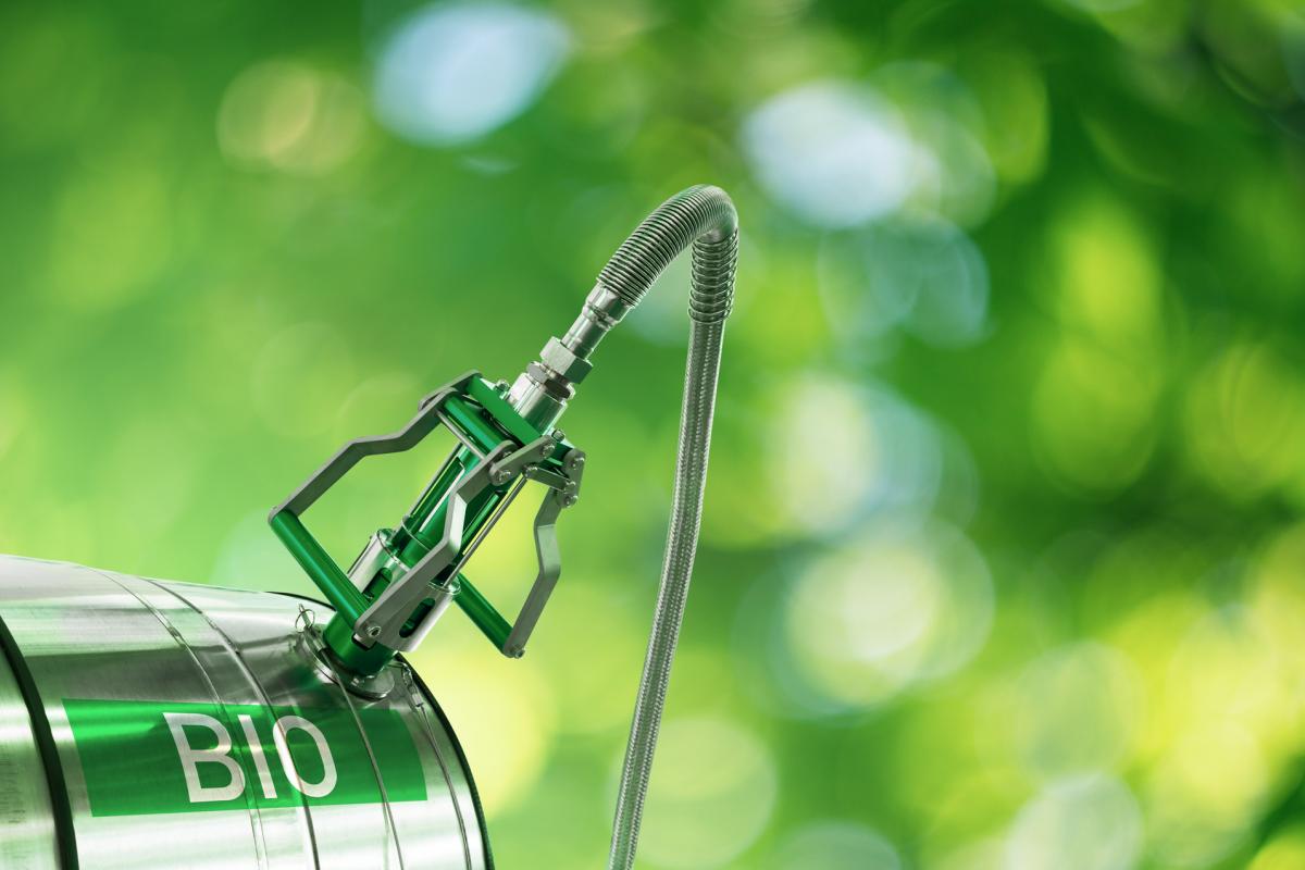 El diésel renovable (HVO), el combustible sostenible de aviación (SAF) y el biometano, se consolidan como opciones prometedoras para reducir las emisiones de carbono.