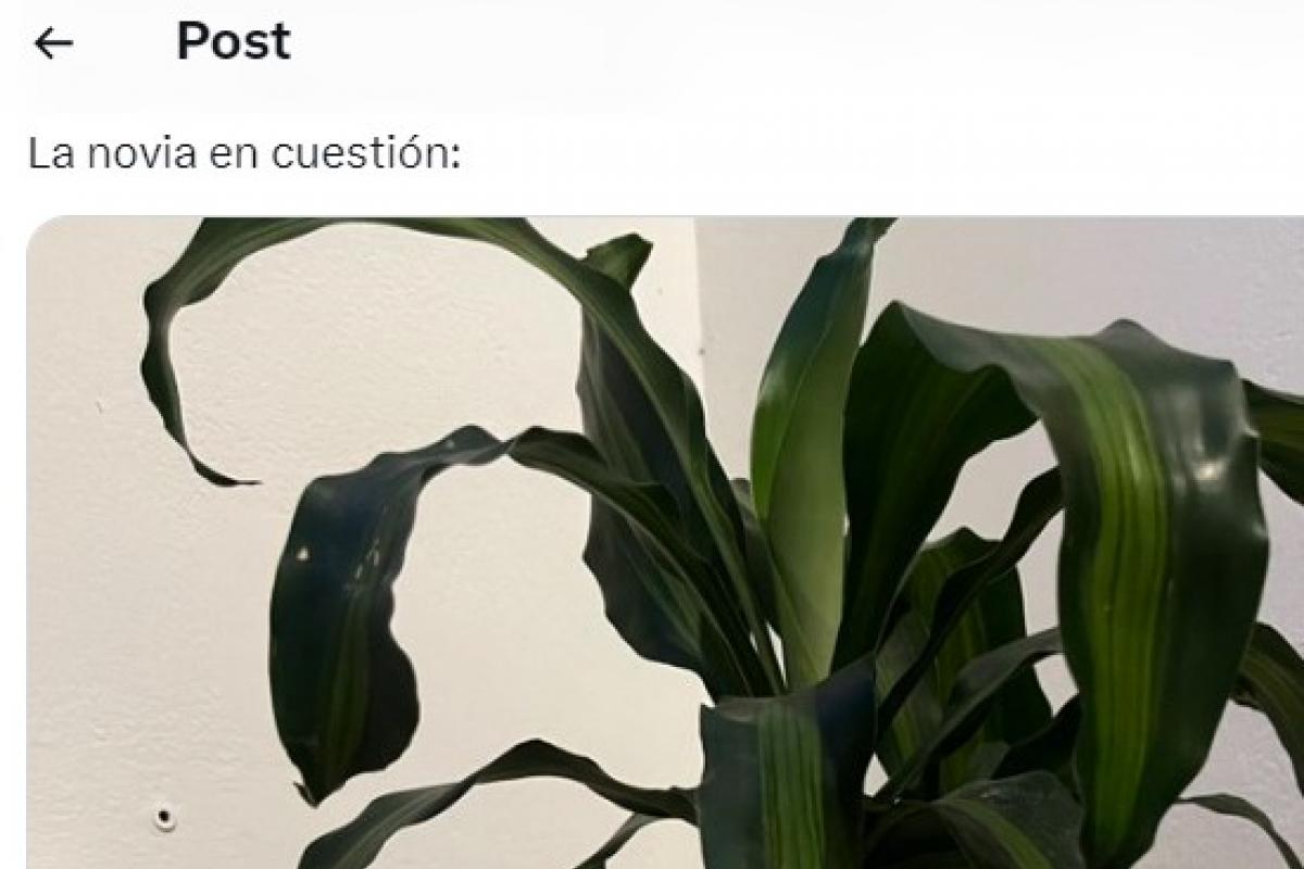 El mensaje compartido por @franbaa__