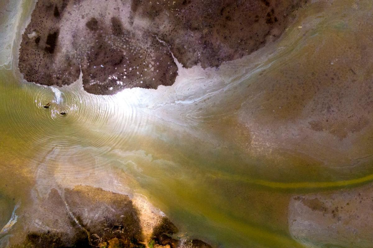 Brillo de petróleo en un derrame de actividades petroleras ilegales en Bodo.