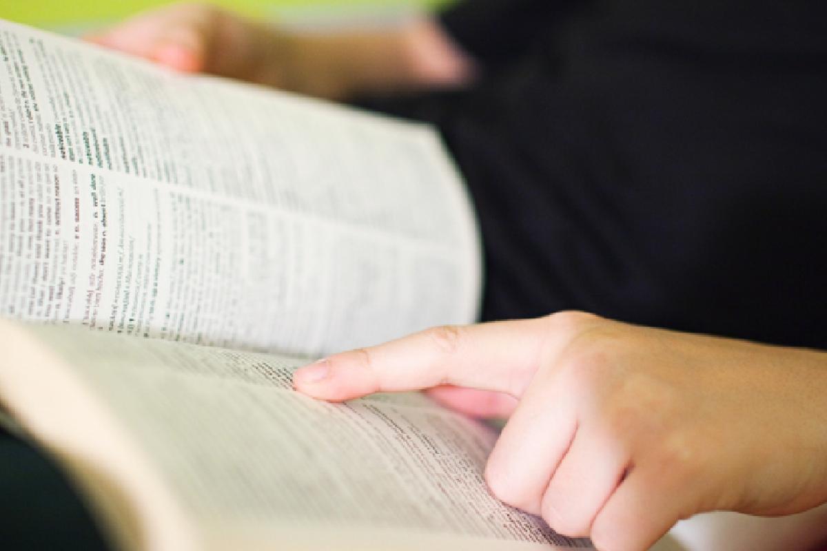 Persona consultando el diccionario