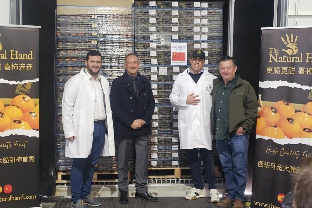 Primer contenedor de caqui a China