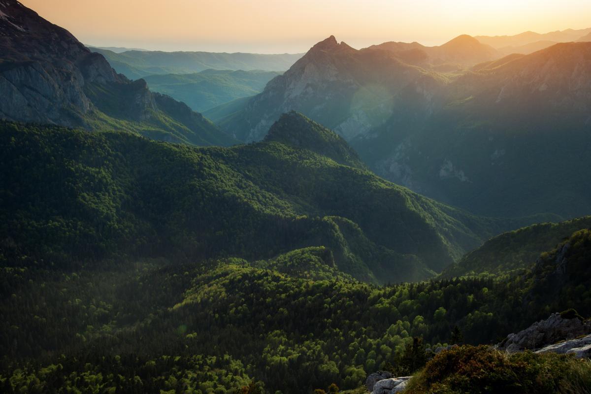 Imagen de archivo de Perucica.