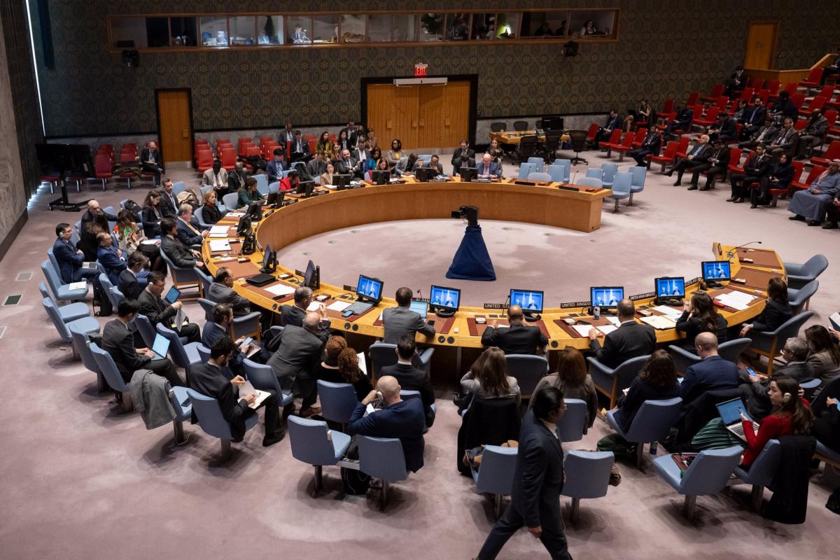 El Consejo de Seguridad de la ONU