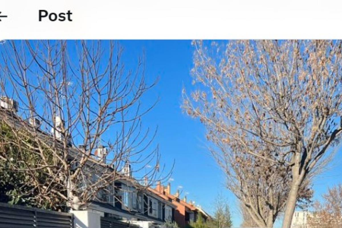 El mensaje de @rodriguez_anina