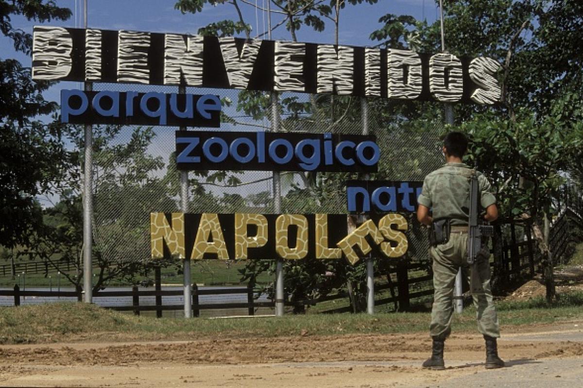 Entrada al zoológico privado de Pablo Escobar en la Hacienda Nápoles.
