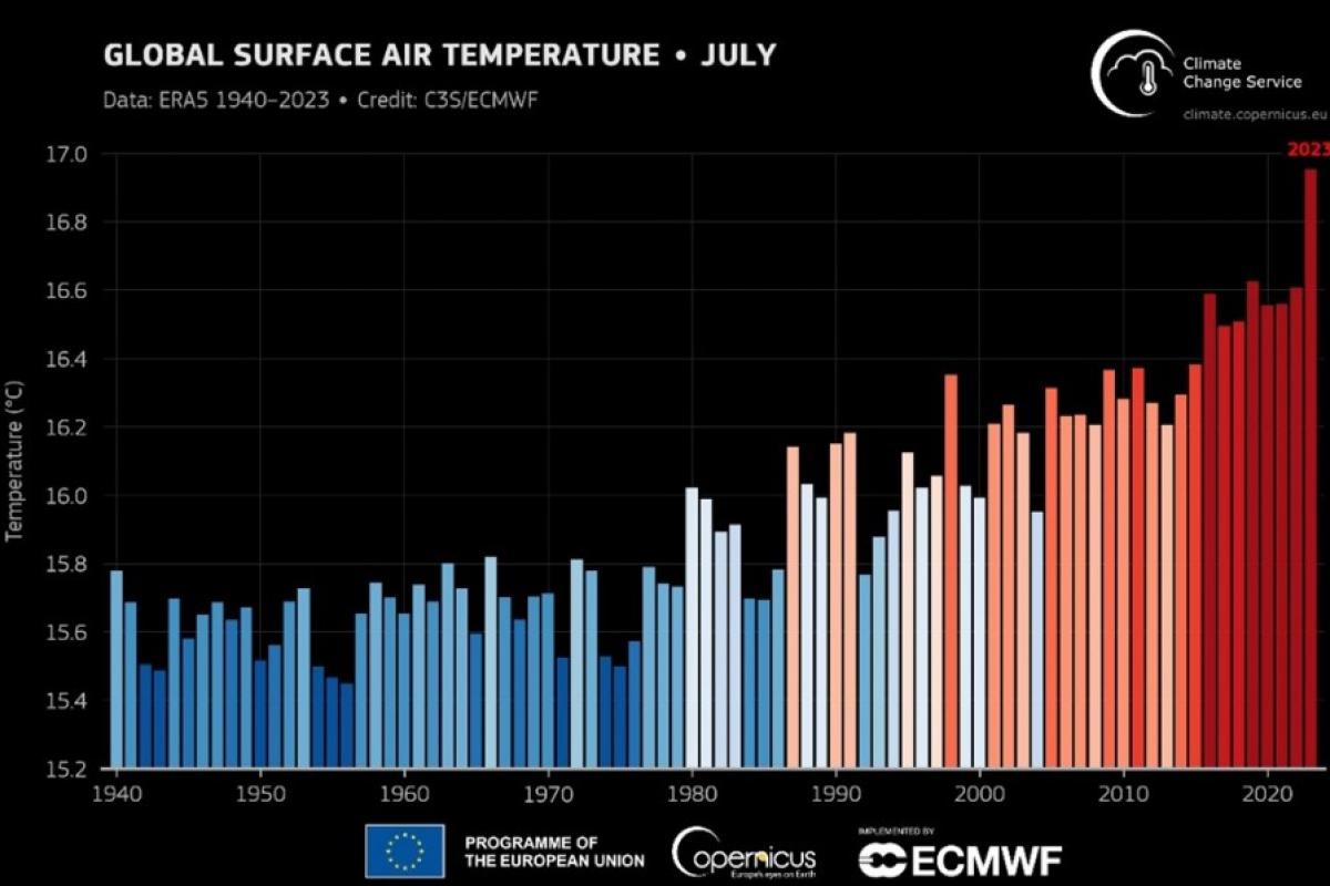 Datos de la temperatura media global