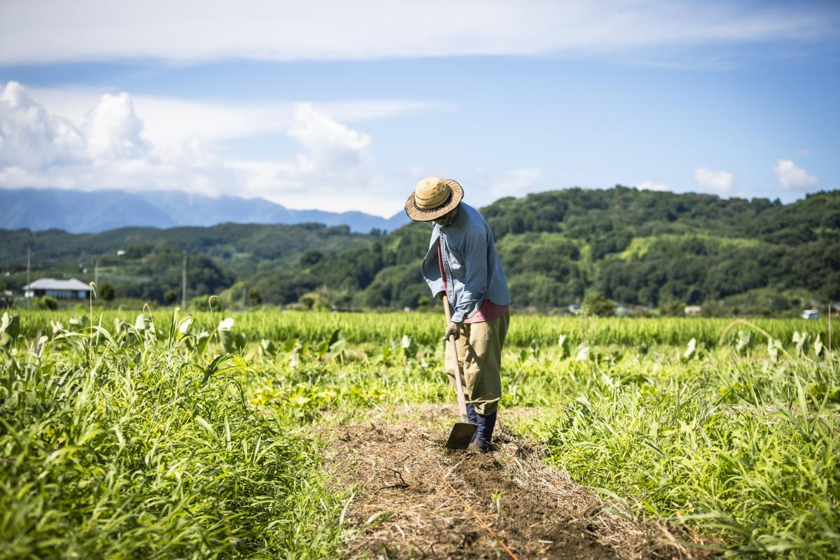 Foto de archivo de un agricultor.