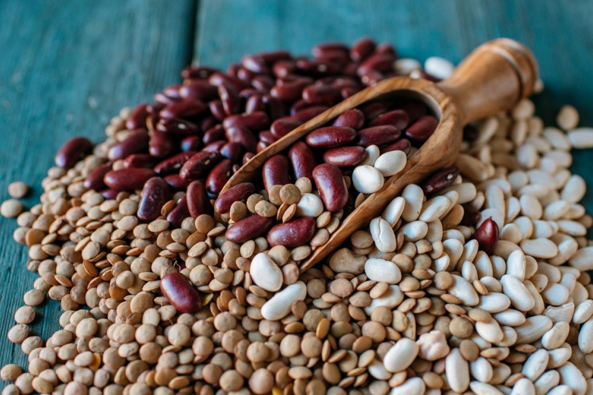 Varias legumbres, en una imagen de archivo