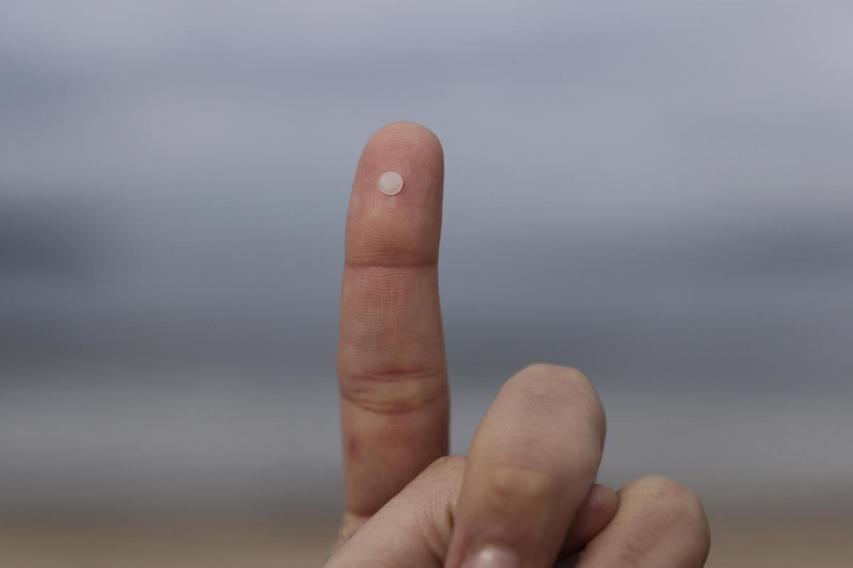 Detalle de los pellets de plástico acumulados en la playa Grande de Miño, A Coruña, después de que el buque 'Toconao', con bandera de Liberia, perdiera 26.250 kilos de estas diminutas bolitas frente a las costas portuguesas.
