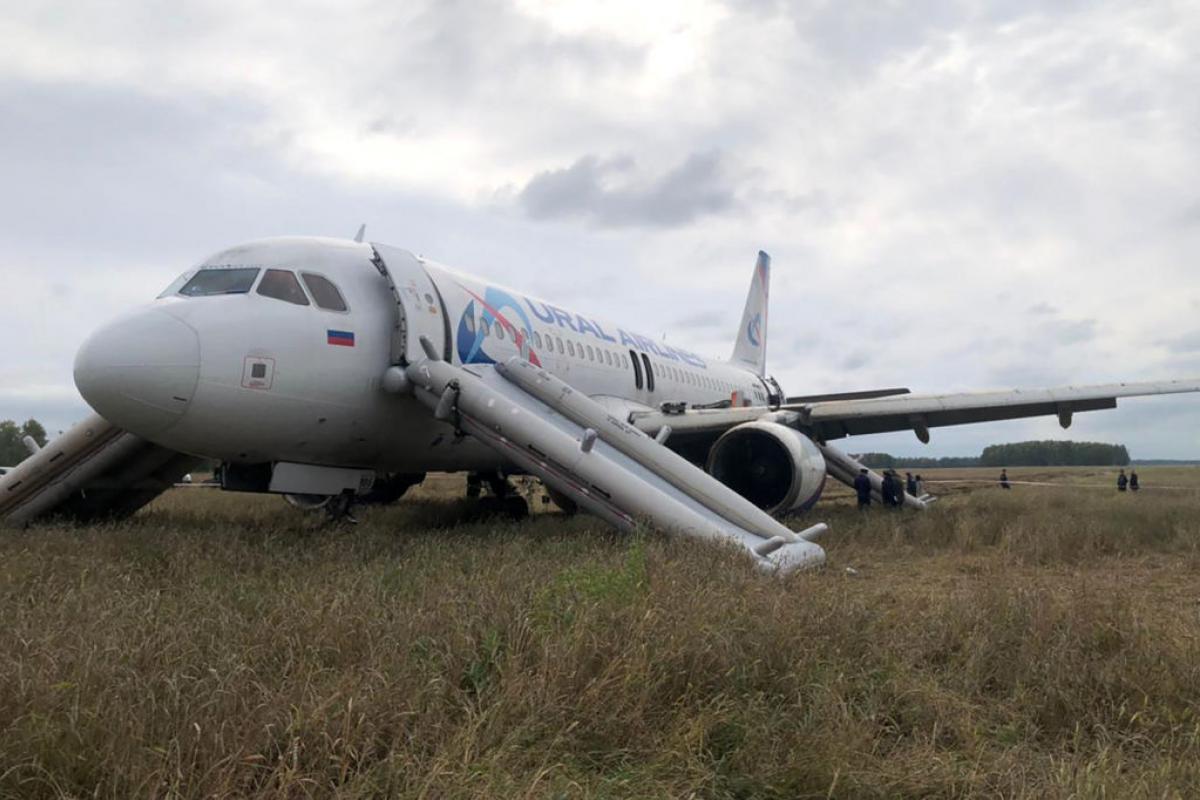 El A320 atrapado en el maizal del sur de Rusia