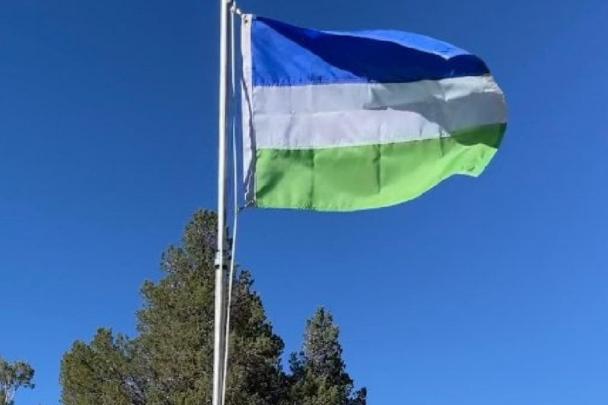 Bandera de Molossia.
