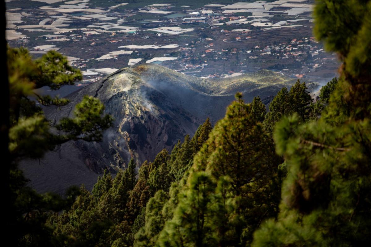 El verde del monte y el negro de la lava se dan la mano a los pies de Los Llanos de Aridane, uno de los puntos más afectados