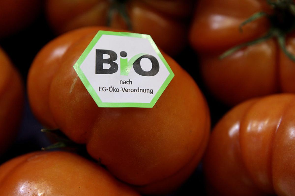 Tomates con la marca Bio de la Unión Europea.