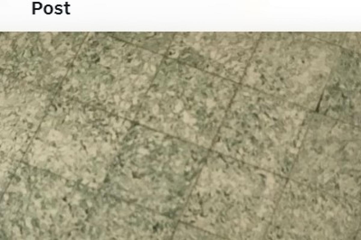 El tuit publicado por @SofiVeronn