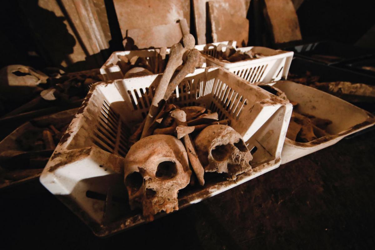 Calaveras y restos óseos recuperados en una exploración arqueológica en Nápoles.