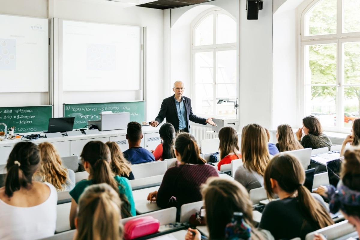 Profesor de universidad