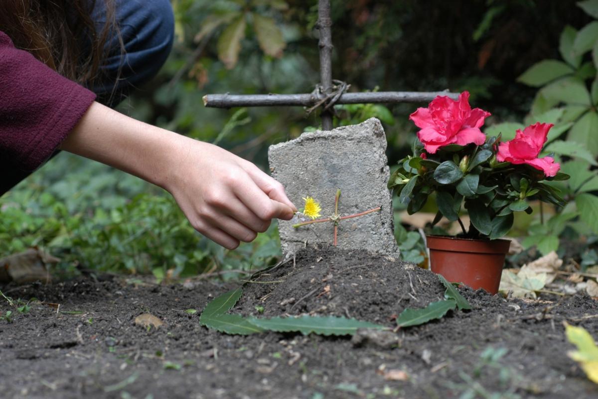 Un cementerio de animales