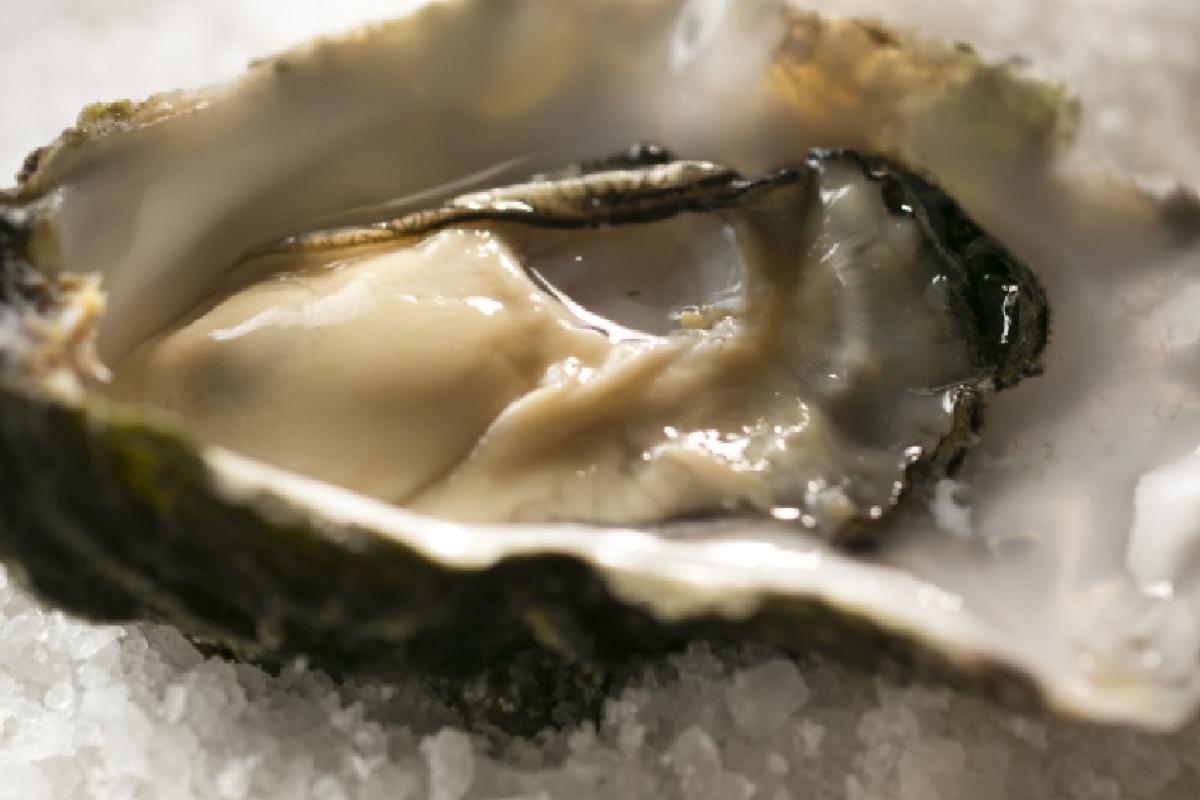 La ostra se considera un alimento afrodisiaco.
