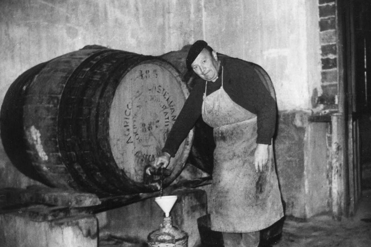 ‘61’ Dorado en Rama