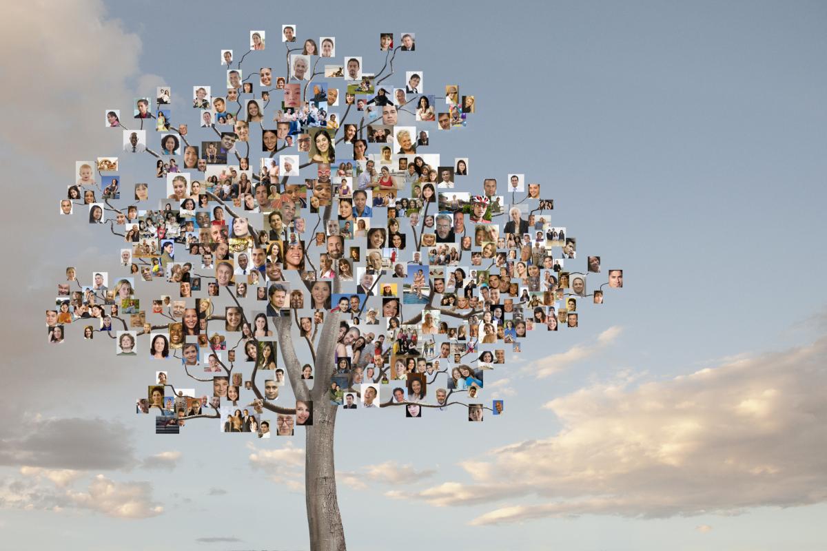 Árbol genealógico