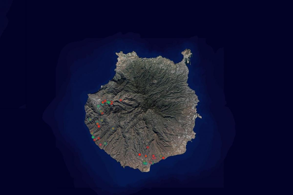 Mapa de Gran Canaria de plantas del manzano de Sodoma extraídas, observadas y en seguimiento de Gran Canaria
