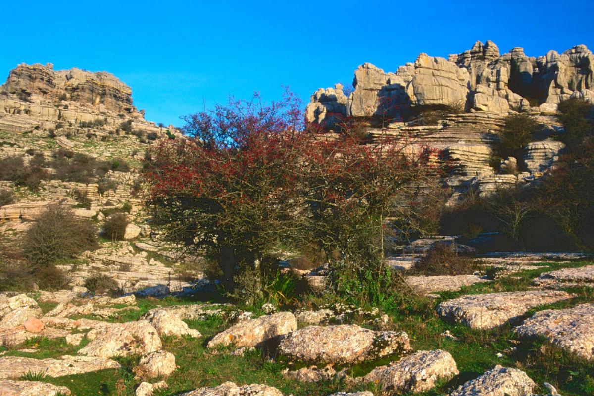 Parque Nacional El Torcal, en Antequera (Málaga).