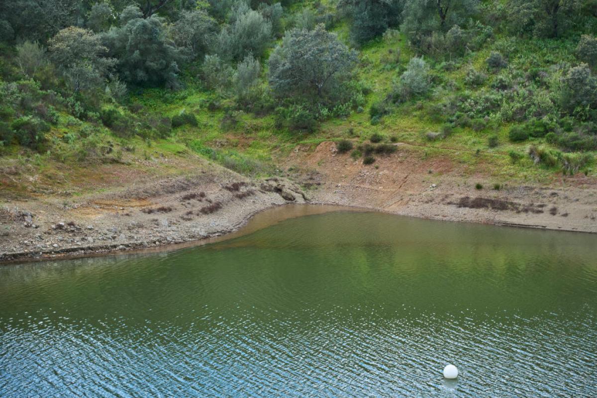 Un embalse de Andalucía este mismo mes de marzo
