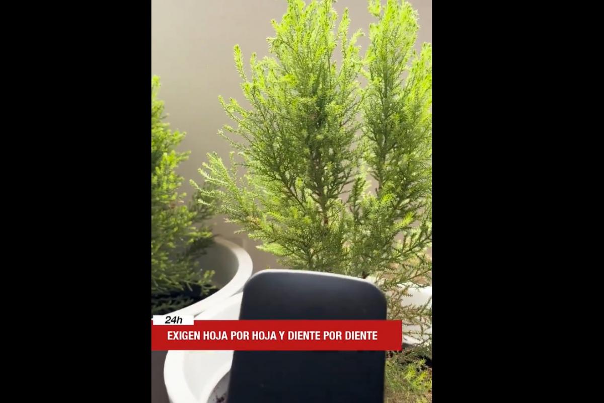 El vídeo publicado por @Ireneramirezzz