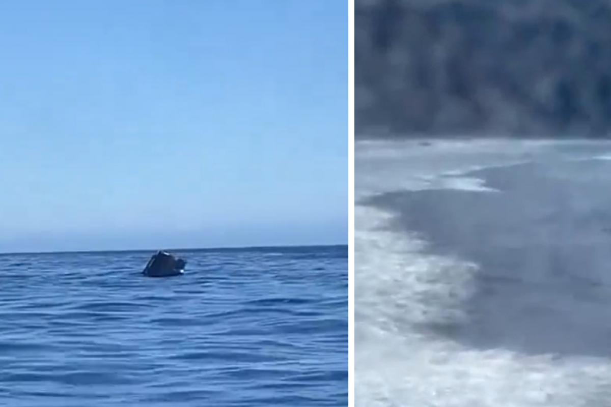 Cae al mar un coche desde un ferry que se dirigía a Tenerife
