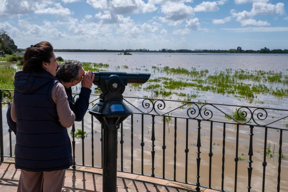 Dos personas observan la fauna en las marismas de El Rocío (Huelva) junto al Parque Nacional de Doñana.