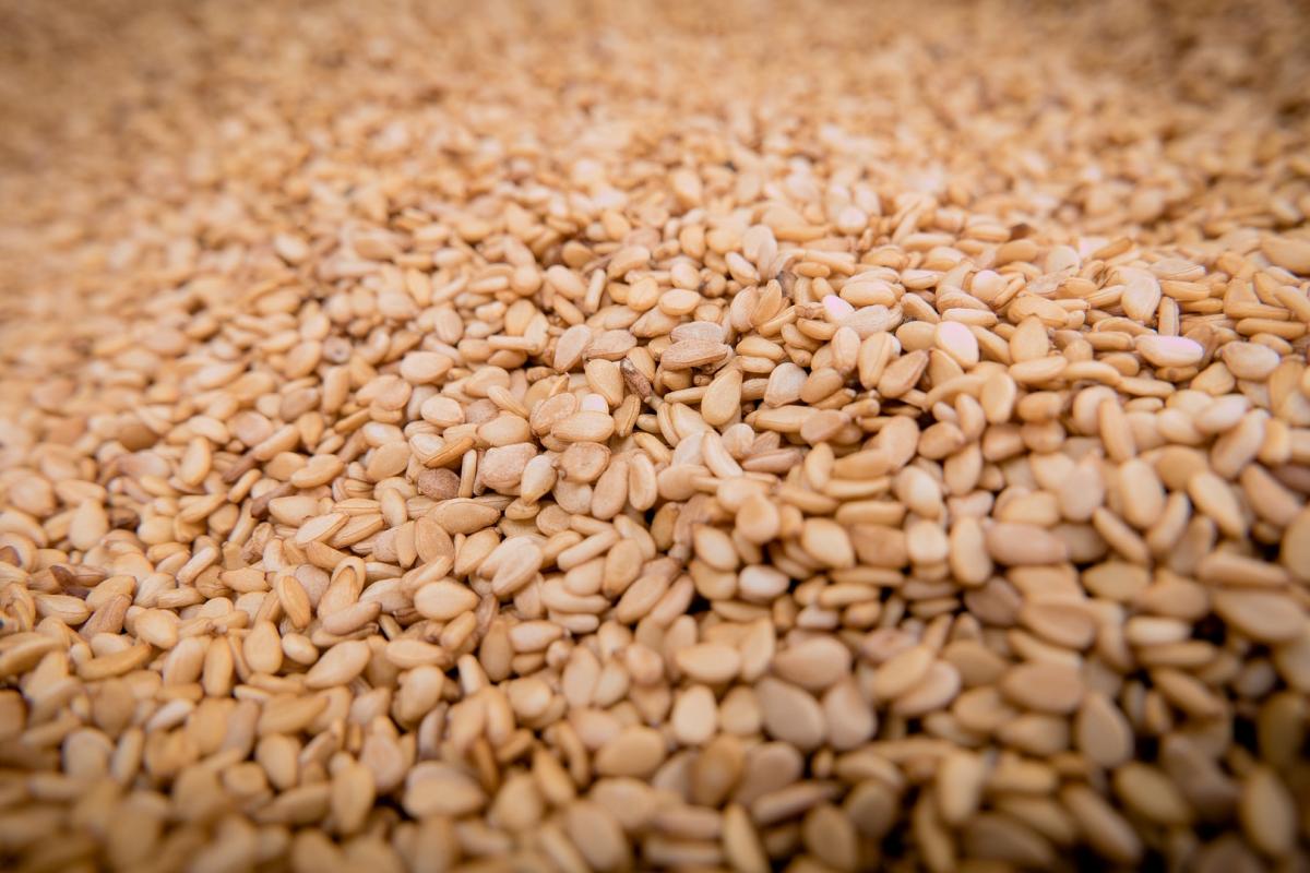 Semillas de sésamo, en una imagen de archivo