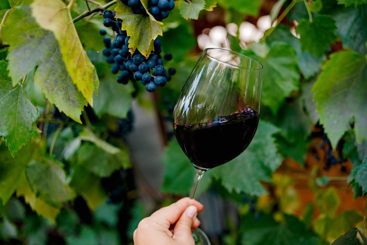 Una copa de vino tinto.