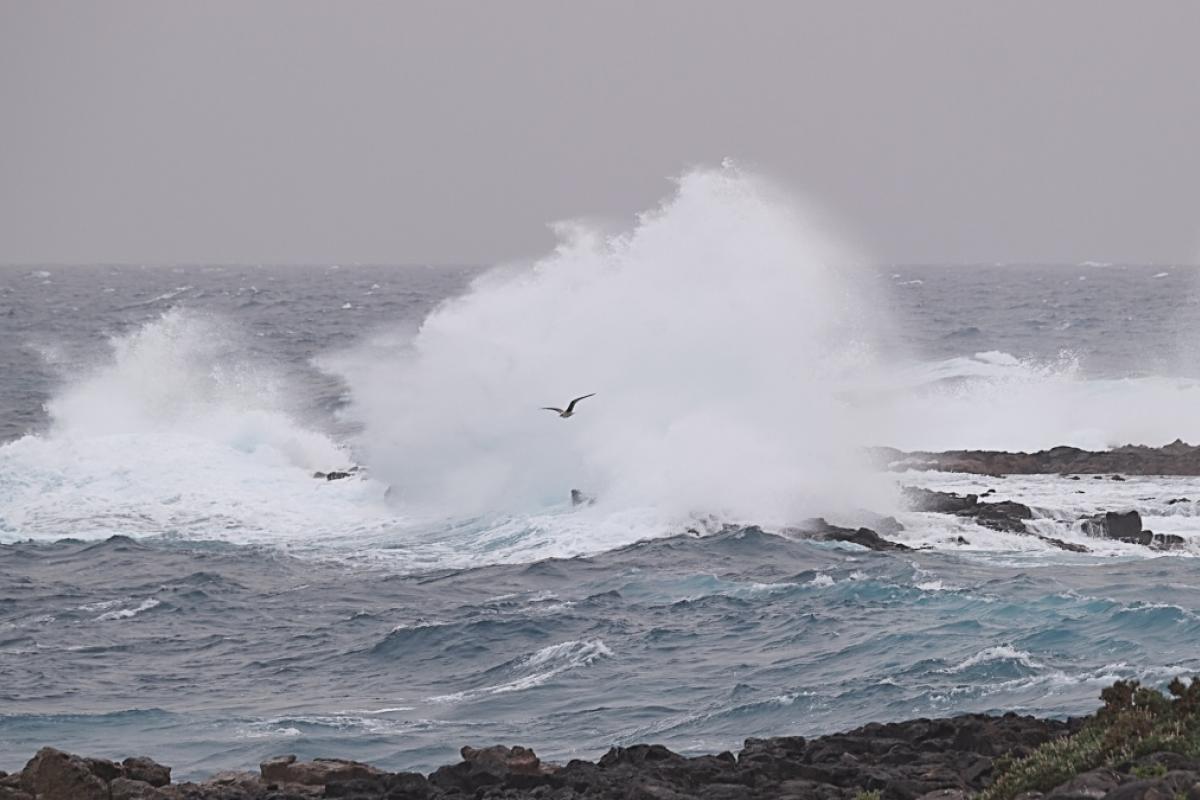 Fuerte oleaje en Canarias