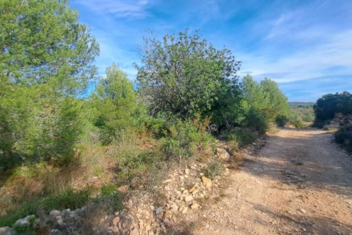 Terreno en Castellón.