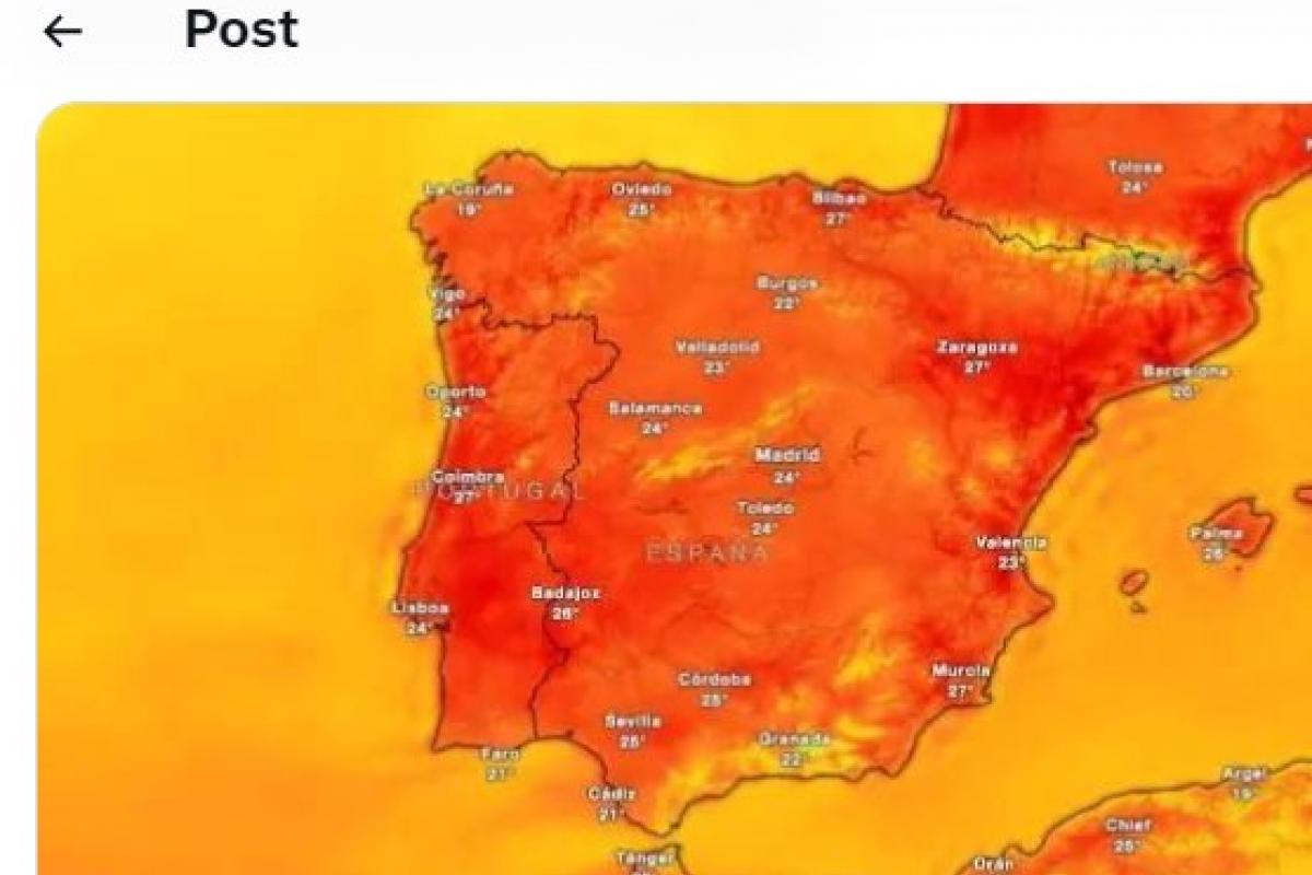 El mapa publicado por Manuela Bergerot, líder de Más Madrid.