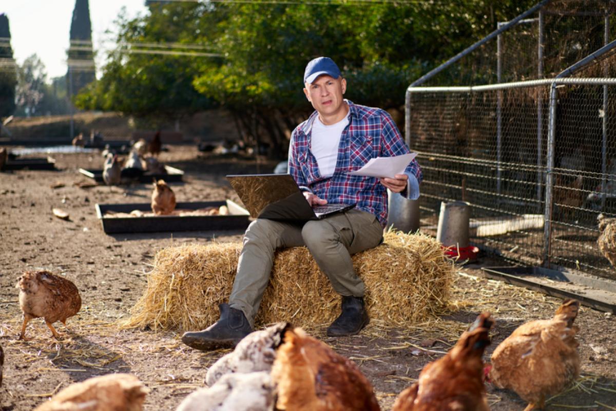 Imagen de archivo de un ganadero consultando su ordenador portátil ante un gallinero.