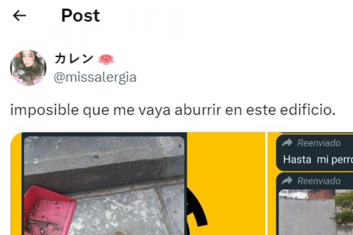 El tuit de @missalergia