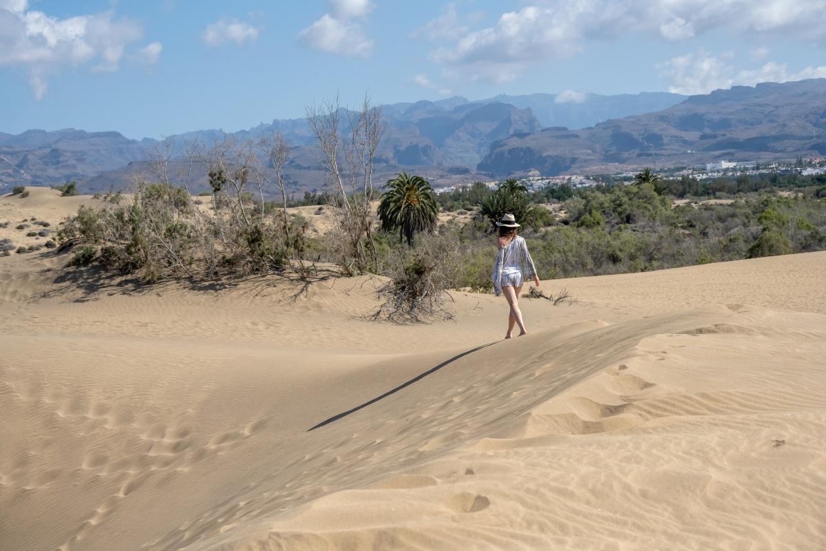 Imagen de la vegetación de las Dunas de Maspalomas, en Gran Canaria