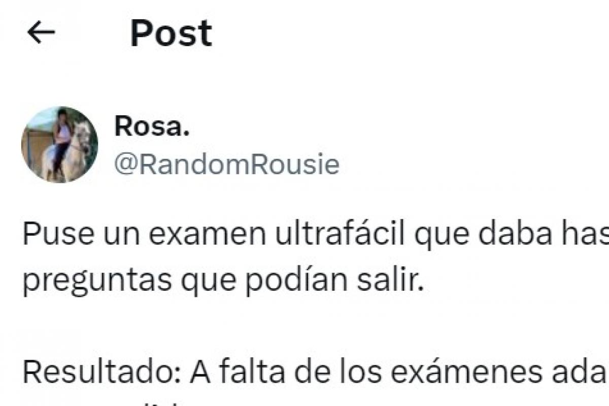 El mensaje de la usuaria @RandomRuise