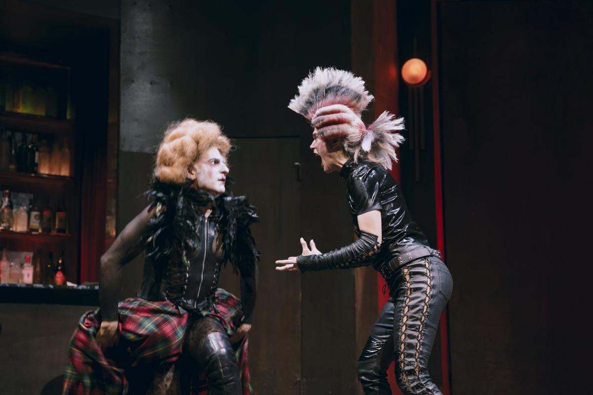 'Los gatos mueren como las personas'.