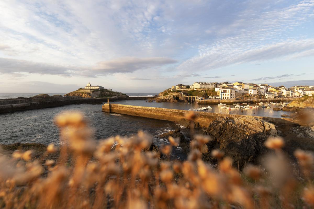 Tapia de Casariego (Asturias).