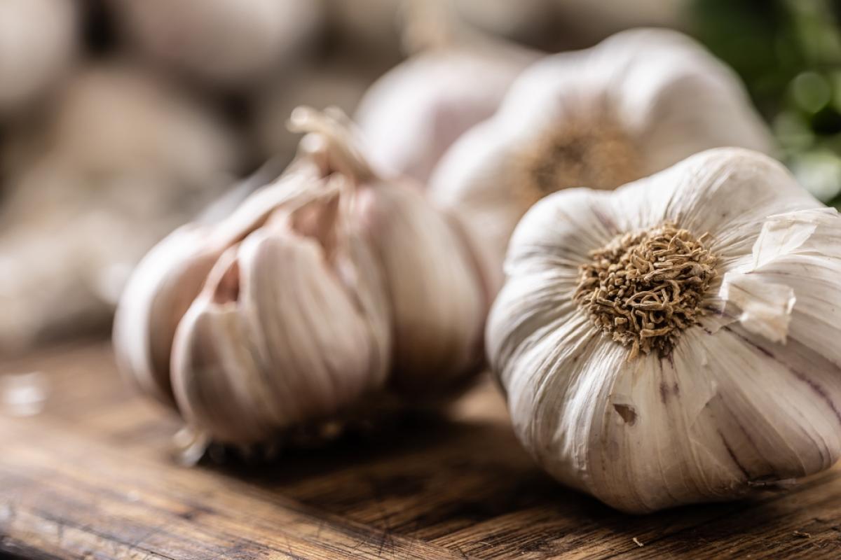 Imagen de archivo de unos ajos.