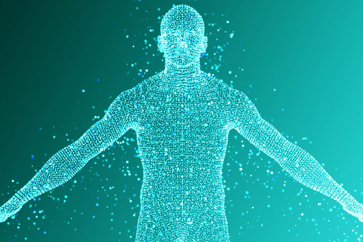 Ilustración del cuerpo humano.